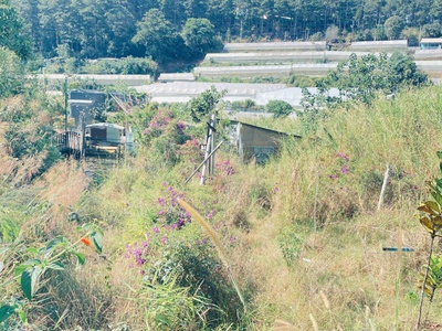 Đất phân quyền giá rẻ, khu dân cư đang phát triển vạn thành, phường 5 đà lạt 4