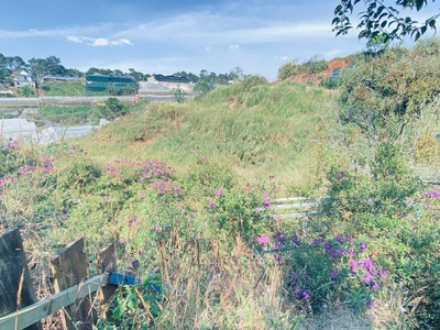 Đất phân quyền giá rẻ, khu dân cư đang phát triển vạn thành, phường 5 đà lạt 6