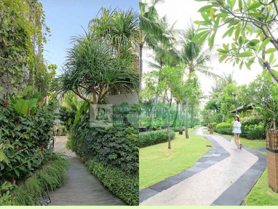 Chăm Sóc Cảnh Quan Chung Cư Cao Cấp Tại TP.HCM Đồng Nai 0