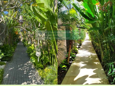 Chăm Sóc Cảnh Quan Chung Cư Cao Cấp Tại TP.HCM Đồng Nai 1