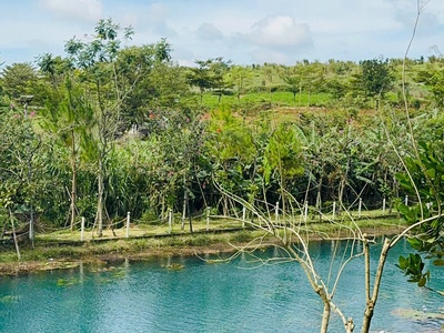 Đất Bảo Lộc Đẹp, Mát Mẻ, Nhiều Tiện Ích Giá Chỉ Từ 1 Tỷ 2 2