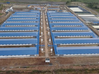 Bán trang trại heo 26 ha 18.000 heo thịt, đang cho thuê 1.1 tỷ/tháng chư prông, gia lai. 0