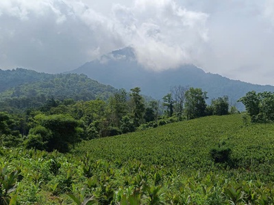 Hot     sở hữu ngay lô đất đẹp - giá tốt - vị trí đắc địa tại thôn hợp sơn, ba vì, tphn 0