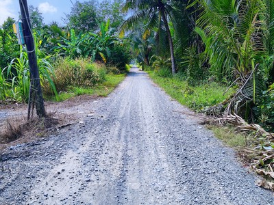 Cần bán 1255m2 đất vườn đường xe hơi tới đất 0