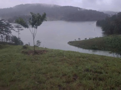 Sở hữu ngay lô đất đẹp - giá tốt - vị trí đắc địa tại tiểu khu 122 đa nhim, lạc dương, lâm đồng 0