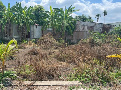 T2065  đất thạnh lộc 41 q12, shr, vuông, 3.6x12.5m, 1.x tỷ 0