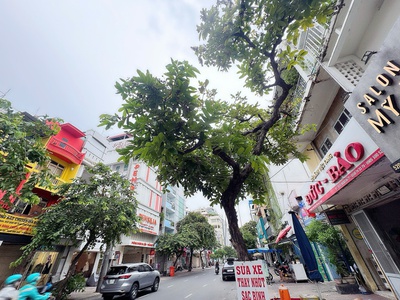 Chính chủ bán nhà mặt tiền kinh doanh đ.nguyên đình chiểu, quận 3 - duy nhất nhà chào bán chỉ 15ty 0