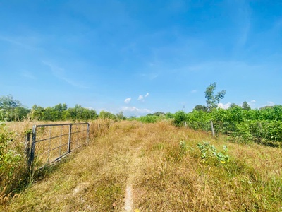 Bán 4000m2 đất tân phước -  lagi gái rẻ nhất 850tr/ sào sổ riêng 1