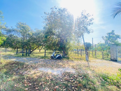 Bán 4000m2 đất tân phước -  lagi gái rẻ nhất 850tr/ sào sổ riêng 2