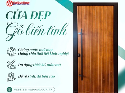 Cửa gỗ biến tính: Giải pháp bền vững và đẳng cấp cho kiến trúc hiện đại 0
