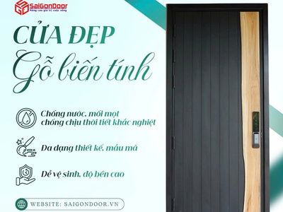 Cửa gỗ biến tính: Giải pháp bền vững và đẳng cấp cho kiến trúc hiện đại 2