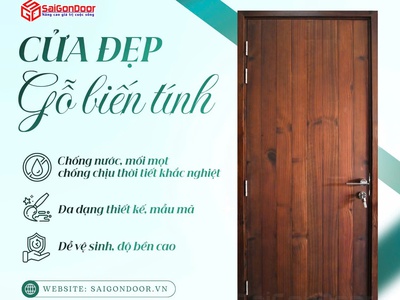 Cửa gỗ biến tính: Giải pháp bền vững và đẳng cấp cho kiến trúc hiện đại 3