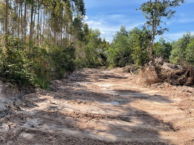 Bán 1.7 mâu đất lô 2 719 - lagi - lâm đồng   bình thuận cũ   400tr/ sào chính chủ 1