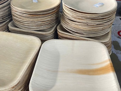 Chén Dĩa Sinh Học Từ Mo Cau   Xu Hướng Tiêu Dùng Bền Vững Hiện Nay 1