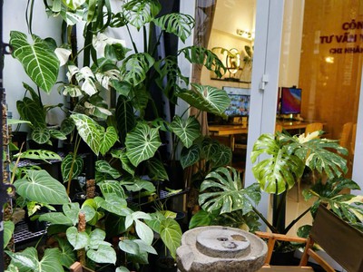 Phú nhuận nhà 3 tầng btct - 5 phút qua q1- 50m ra mặt tiền phan đình phùng - 9,850 tỷ tl 0