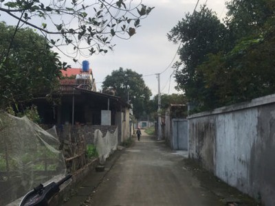 Chính chủ cần bán mảnh đất ở phú ninh  gần đường quốc lộ , xã minh phú, sóc sơn, hn 3