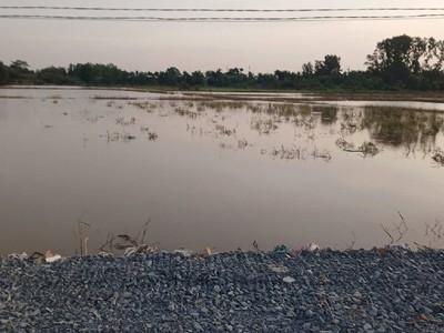 Bán gấp  2ha đất cln, tân phú trung . củ chi,nguyễn thị lắng. giá 48 tỷ. 2