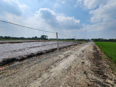 Bán gấp  2ha đất cln, tân phú trung . củ chi,nguyễn thị lắng. giá 48 tỷ. 3