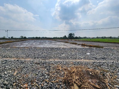 Bán gấp  2ha đất cln, tân phú trung . củ chi,nguyễn thị lắng. giá 48 tỷ. 4