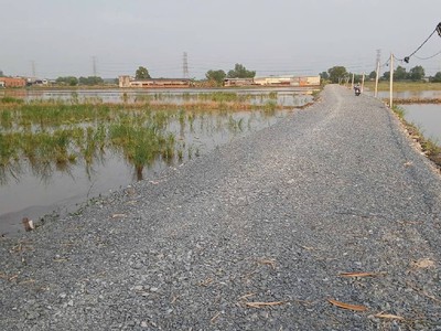 Bán gấp  2ha đất cln, tân phú trung . củ chi,nguyễn thị lắng. giá 48 tỷ. 1