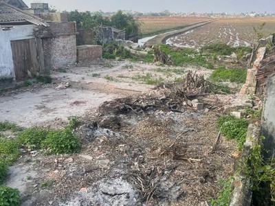 Bán lô đất 456m2   thổ cư 360m  tại xã trực đạo - trực ninh - nam định. 0