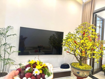 Tòa căn hộ sẵn dòng tiền ngay phố tây gần biển nha trang 0