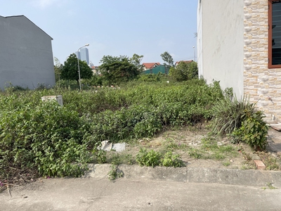 Bán đất tái định cư Ngọc Động 80m2, view vườn hoa cực thoáng, cạnh Vin Safari, đường 11m có vỉa hè. 2