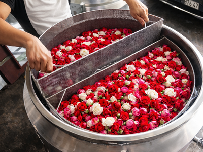 Quy trình sản xuất cao hoa hồng và hệ thống thiết bị nấu   cô cao chuyên dụng 0