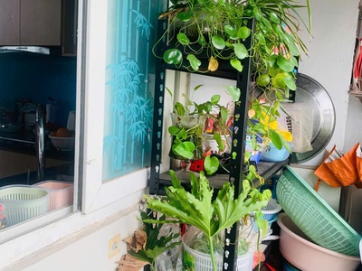 Bán căn hộ chung cư View Hồ tại Thanh Hà-Hà Đông giá tốt 2