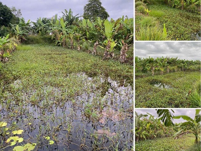 Bán đất chính chủ 2.011m2 dọc tl 944 chợ mới, xã an thạnh trung, an giang 0