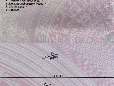 Bán đất chính chủ 2.011m2 dọc tl 944 chợ mới, xã an thạnh trung, an giang 4