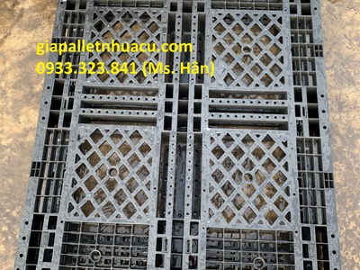  Pallet Nhựa Chống Mặn   Giải Pháp Tối Ưu Cho Dân Thủy Sản Cà Mau  0
