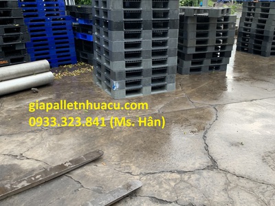  Pallet Nhựa Chống Mặn   Giải Pháp Tối Ưu Cho Dân Thủy Sản Cà Mau  7