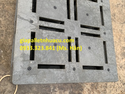  Pallet Nhựa Chống Mặn   Giải Pháp Tối Ưu Cho Dân Thủy Sản Cà Mau  8