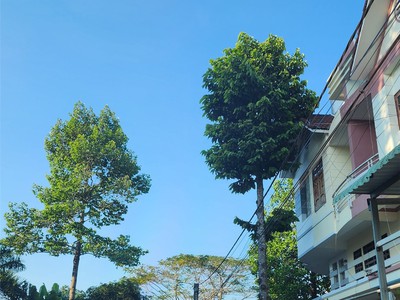 Bán nhà mặt phố đường số 10 cái răng, cần thơ: vị trí vàng kdc nông thổ sản, dt 84m2, 3 tầng, 3pn, 4