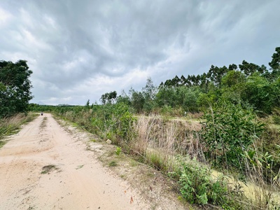 Bán 1 sào đất tân bình - lagi chỉ 700 triệu đường 10m cách 719 chỉ 800m 4