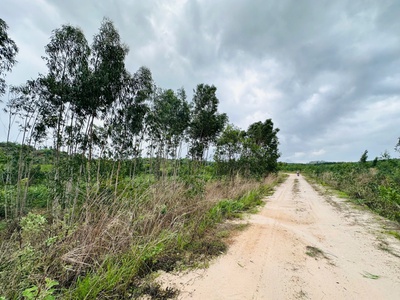 Bán 1 sào đất tân bình - lagi chỉ 700 triệu đường 10m cách 719 chỉ 800m 0