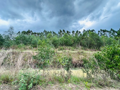 Bán 1 sào đất tân bình - lagi chỉ 700 triệu đường 10m cách 719 chỉ 800m 3