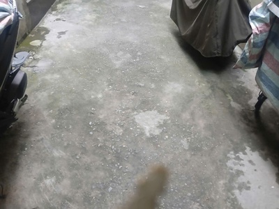 Bán đất tặng nhà   võng thị, tây hồ   giá tốt -  ngõ 8 võng thị   tây hồ   hà nội 0