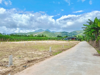 Bán 16 lô full thổ cư trung tâm xã diên phước  xã diên thọ mới  diện tích: 130m2 giá bán 490 mọi 0