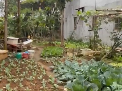 Chính chủ bán đất trung tâm lăng cẩm   gia cẩm   việt trì - vị trí đẹp   giá tốt   tiện ích đồng bộ 3