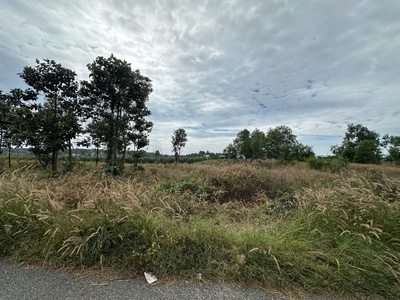 Bán 11.5m x 37m đất thổ cư đường võ văn tần, la gi giá chỉ 6.65 triệu/m  gần biển tam tân 3