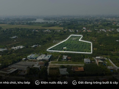 Chính chủ  nhượng lại 3 miếng đất liền kề hơn 1,2 ha tại tân triều, đồng nai 0