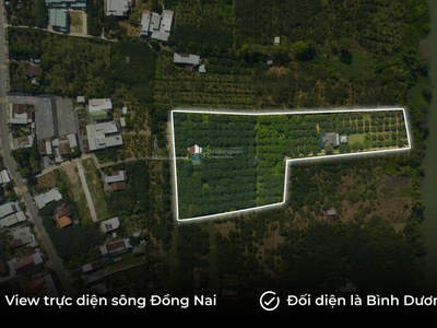 Chính chủ  nhượng lại 3 miếng đất liền kề hơn 1,2 ha tại tân triều, đồng nai 1