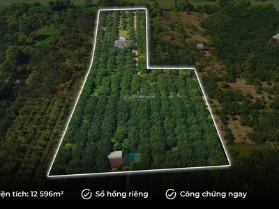 Chính chủ  nhượng lại 3 miếng đất liền kề hơn 1,2 ha tại tân triều, đồng nai 2