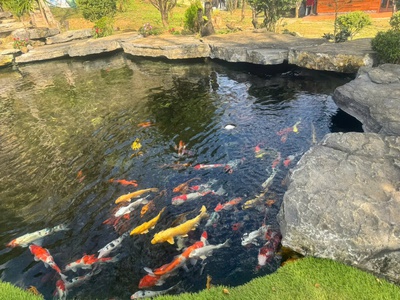 Cơ hội đầu tư resort tâm an 999   quy mô lớn 1,7ha   mộc châu 3