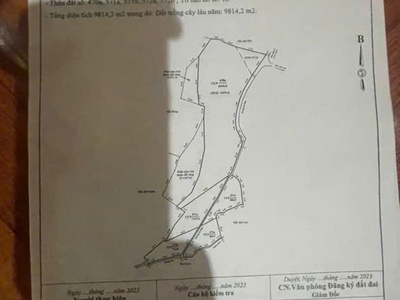 Cơ hội đầu tư resort tâm an 999   quy mô lớn 1,7ha   mộc châu 4