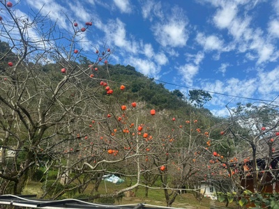 Cơ hội đầu tư resort tâm an 999   quy mô lớn 1,7ha   mộc châu 2