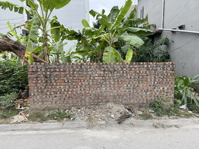 Bán Đất Đông Dư giáp Ecopark Vin Ocean Park - 50m2 Mặt Đường Thông - Hướng Đông Nam Cực Mát 4