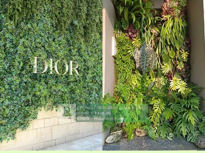 Dịch Vụ Thiết Kế   Thi Công Tường Xanh   Vườn Đứng Chuyên Nghiệp 0